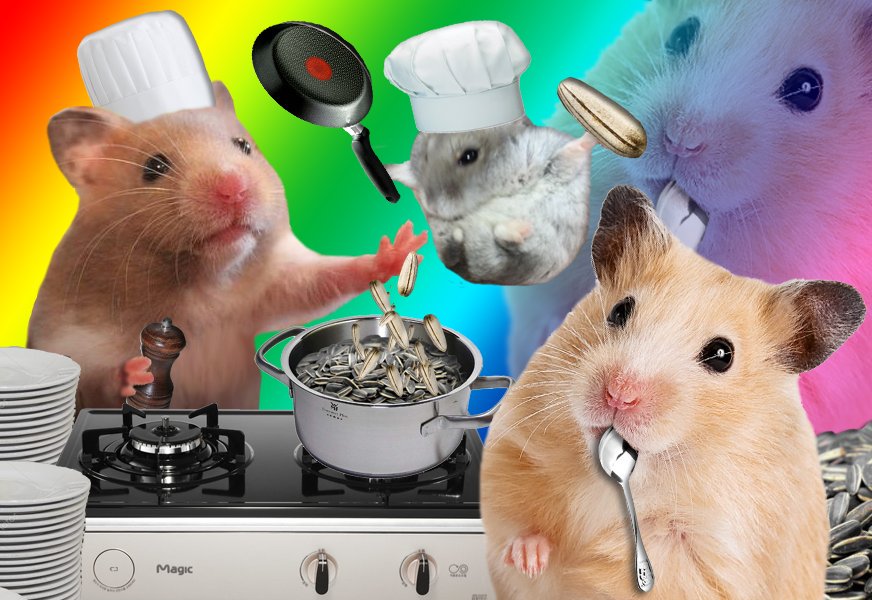 file:햄스터 요리사.jpg